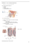 samenvatting anatomie en fysiologie H19