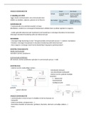 Samenvatting Visuele Communicatie 2022-2023