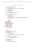 EXSC 224L Week 11 Notes