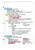 Endocrine System 