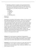 usmle u world step 1- immunology and histology question bank