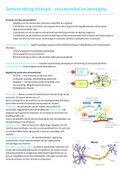 Samenvatting  Biologie - beweging en zenuwstelsel