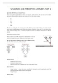 Lecture notes for the second exam of Sensation & Perception