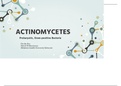 Actinomycetes