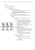 Exam 1 - Renal Outline