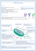 Grade 11 to 12 Bacteria Summery, Life Sciences (biology), IEB Syllabus  