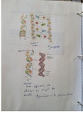 Class notes BIOL 3053 A 