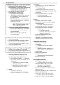 Begeleiding van onderwijsloopbaan en keuzeprocessen: schema "lager onderwijs"