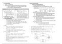 Begeleiding van onderwijsloopbaan en keuzeprocessen: schema "onderwijsbeleid"