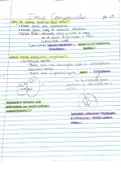 Ionic Compounds 