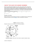 NUR 210 FINAL QUESTIONS AND ANSWERS