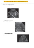 ARDMS ABDOMEN PATHOLOGY IMAGES updated 2023