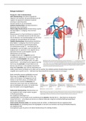 Vwo Biologie Hoofdstuk 9: Bloedsomloop Samenvatting 