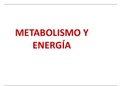 METABOLISMO Y ENERGÍA