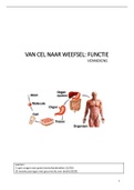 Samenvatting VCNW functie deel 1