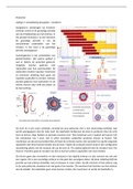 Aangezien Anatomie al zo moeilijk is, hier wat hulp!