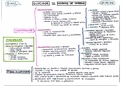 Esquema completo de macronutrientes y micronutrientes