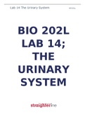 BIO 202L LAB 14- THE URINARY SYSTEM