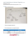 Lab report 8 Bio 250