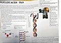 LEARNING AIM A: UNDERSTAND THE STRUCTURE AND FUNCTION OF NUCLEIC ACIDS IN ORDER TO DESCRIBE GENE EXPRESSION AND THE PROCESS OF PROTEIN SYNTHESIS.