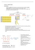 Lipids (3 lectures worth)