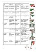 anatomie 1ste semester spieren volledig samengevat