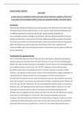 To what extent are individuals creative actors who actively control the conditions of their lives?  A case study of the Sociological problem of patriarchy and gender identity in the family sphere.