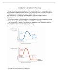 Exothermic and Endothermic Reactions (Year 12 Chemistry)