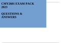 CMY2601 EXAM PACK 2023