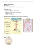 Samenvatting algemene fysiologie 