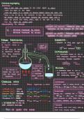 Edexcel iGCSE Chemistry notes