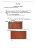 Summary Portage Learning BIOD 152 A&P 2 Lab 6 - Histology of Body Systems