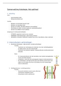 samenvatting: Het epitheel (hoofdstuk 2)