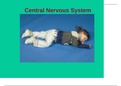 BIO 202 L CENTRAL NERVOUS SYSTEM