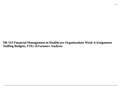 NR 533 Financial Management in Healthcare Organizations Week 4: Assignment Staffing Budgets, FTEs &Variance Analysis. 