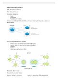 De moleculaire genetica samenvatting die je nodig hebt!