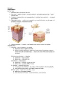 Nursing notes ATI Skin Health Assessment 12 pages