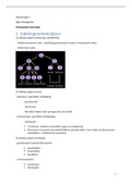 Hematologie 2: fysiologie en pathologie van WBC