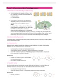 Samenvatting Biogenie 5.2 - rol van enzymen bij stofwisselingsprocessen