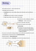 biologie 3e jaar samenvatting