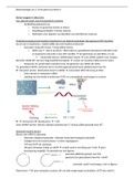 Samenvatting les 3/6 van Biotechnologie