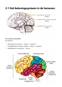 Neuromarketing: samenvatting hoofdstuk 2 (E-marketing & Social Media)