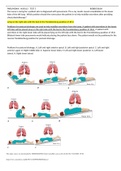 Apea Review Fnp Capstone Practicum And Intensive (NR-667)