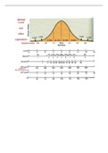 Bell Curve Notes 