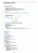 Taalnormering van het Nederlands volledige samenvatting