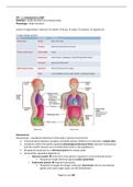 McTimoney College of Chiropractic - Human Function I