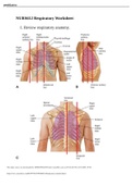 NURS612 Respiratory Worksheet_With Solutions