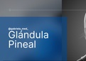 notas de clase hormonas de la glandula pineal