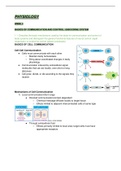 Sem 1 cardiovascular and respiratory system physiology notes - organised by framework learning points