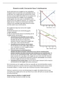 Economie domein markt in 7 bladzijde makkelijk en duidelijk uitgelegd, eindexamenstof havo 5 2023 